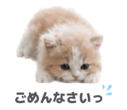 844569346