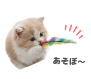 844569351