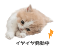 844569353