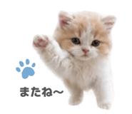 844569355