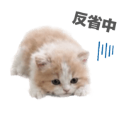 844569357