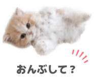 844569367