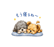 844571027