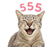 844571093