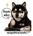 844571586