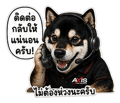 844571593