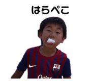 844572251