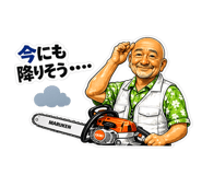 844572356