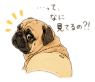 844573099