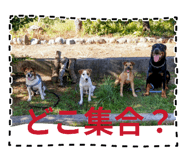 844573599