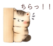 844575077
