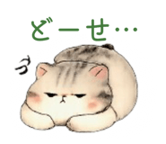 844575081
