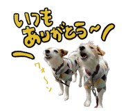 844575329