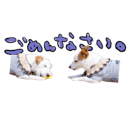844575341