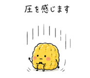 844576672