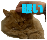 844576707