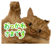 844576708