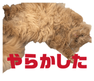 844576710