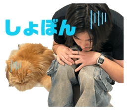 844576711