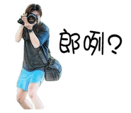 84457672