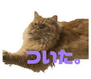 844576721