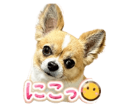 844577001