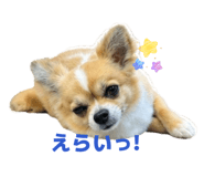 844577002