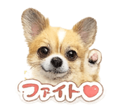 844577004