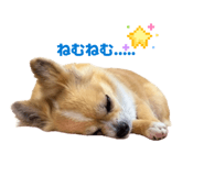 844577008