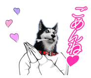 844577049