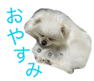 844577069