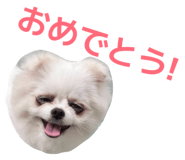 844577073