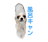 844577080