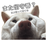 844577614