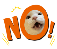 844577775
