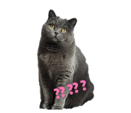 844577938