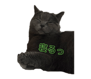 844577941
