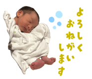 844578831