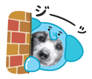 844578848