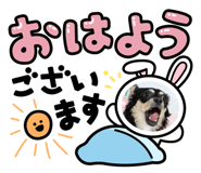 844578941