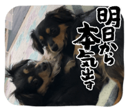 844578946