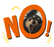 844578955