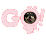 844578964