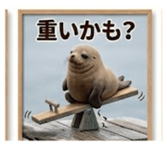 844579372