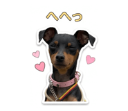 844579624