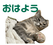 844579988