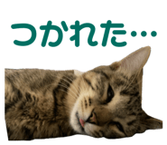 844579990