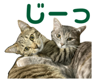844579991