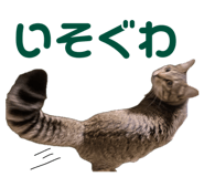 844579994