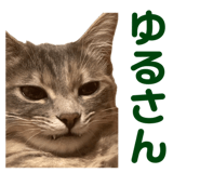 844579995